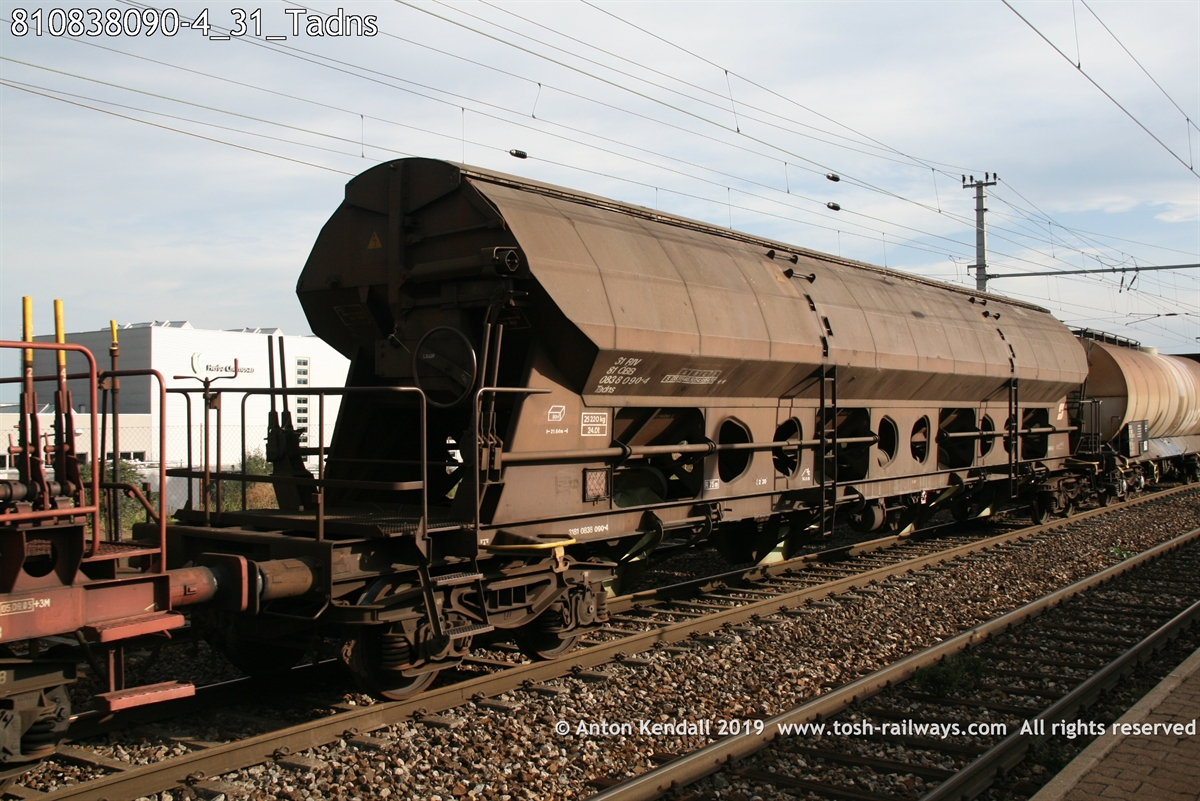 810838090-4_31_Tadns.jpg